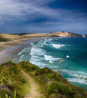 在线手机号测压